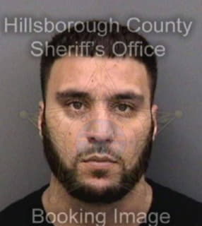 Aldabesheh Samer - Hillsborough County, Florida 