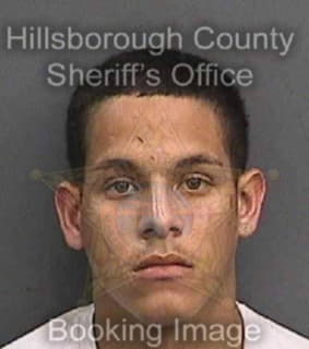 Cuevas Christopher - Hillsborough County, Florida 