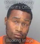 Mcgee David - Pinellas County, Florida 