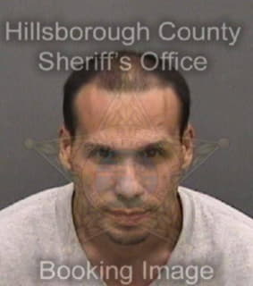 Reyessilva Juan - Hillsborough County, Florida 