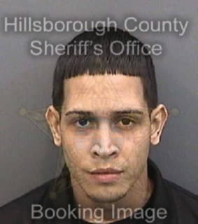 Ruiz Justin - Hillsborough County, Florida 