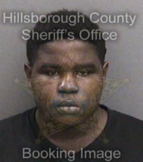 Wilson John - Hillsborough County, Florida 