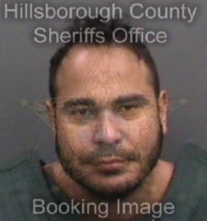 Deleon Josue - Hillsborough County, Florida 