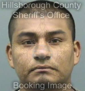 Martinez Julian - Hillsborough County, Florida 