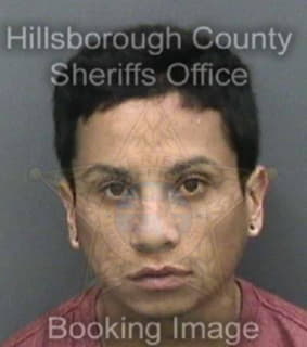 Romero Kevin - Hillsborough County, Florida 