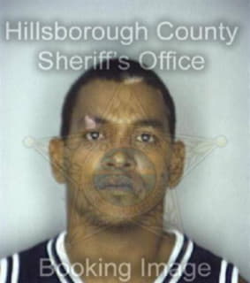 Hernandez Luis - Hillsborough County, Florida 
