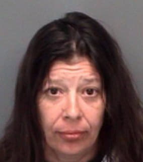 Denney Michelle - Pinellas County, Florida 