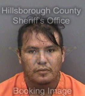 Hernandez Rogelio - Hillsborough County, Florida 