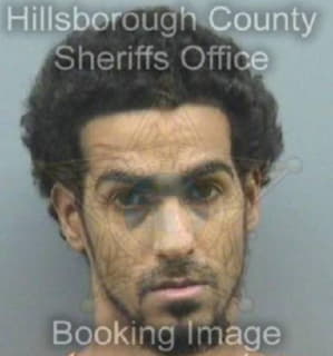 Rivera Alberto - Hillsborough County, Florida 