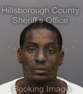 Williams Antwon - Hillsborough County, Florida 