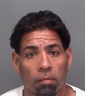 Rijos Daniel - Pinellas County, Florida 