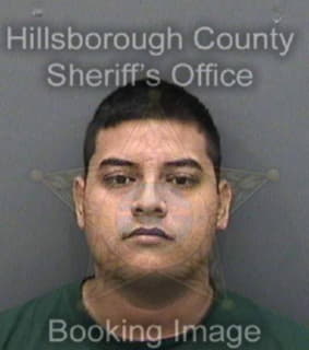 Ramirezrojas Guillermo - Hillsborough County, Florida 