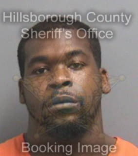 Perry Titus - Hillsborough County, Florida 