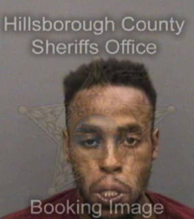 Robinson Anthony - Hillsborough County, Florida 