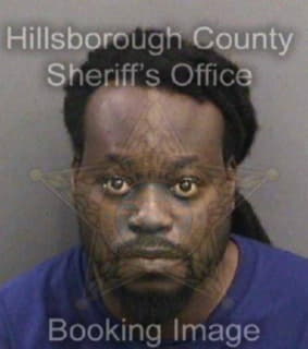 Francis Babtundih - Hillsborough County, Florida 