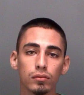 Hernandez Charles - Pinellas County, Florida 