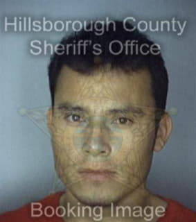 Mondragon Gerardo - Hillsborough County, Florida 