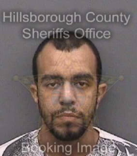 Villanueva Joseph - Hillsborough County, Florida 