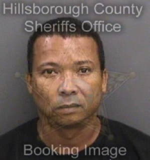 Lee Rohan - Hillsborough County, Florida 