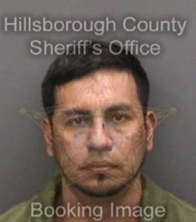 Diaz Carlos - Hillsborough County, Florida 