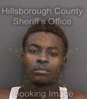 Richardson Darren - Hillsborough County, Florida 