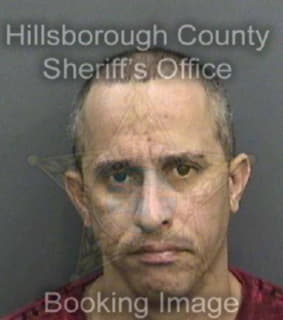 Pinobetancourt Norlan - Hillsborough County, Florida 