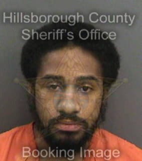 Wilson David - Hillsborough County, Florida 