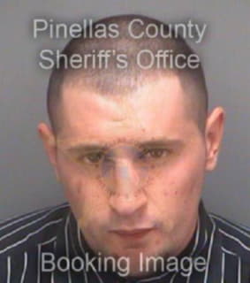 Nocerino Matthew - Pinellas County, Florida 
