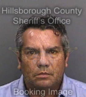 Pena Carlos - Hillsborough County, Florida 