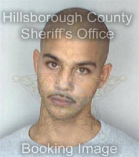 Diaz Charles - Hillsborough County, Florida 