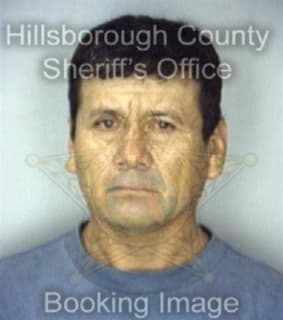 Perez Humberto - Hillsborough County, Florida 