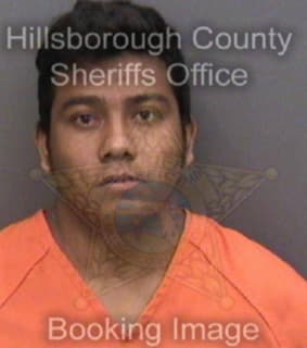 Arriaza Jonathan - Hillsborough County, Florida 