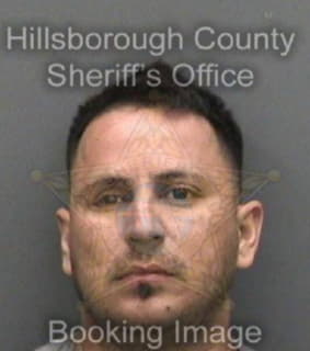 Rodriguezpacheco Rafael - Hillsborough County, Florida 