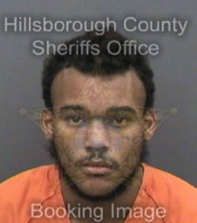 Bennett Darius - Hillsborough County, Florida 