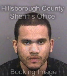 Cruz David - Hillsborough County, Florida 