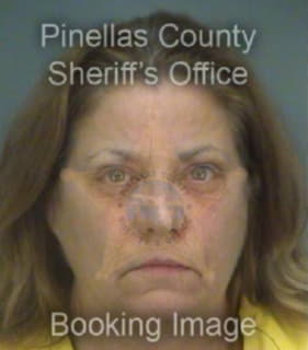 Wilson Carol - Pinellas County, Florida 