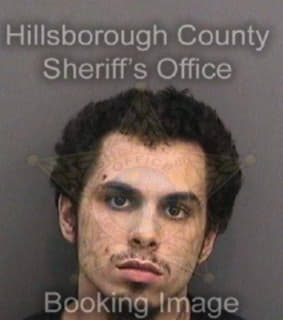 Crespo Enriquez - Hillsborough County, Florida 