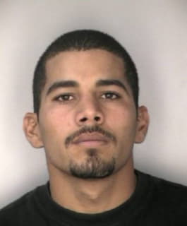 Camacho Eliezer - Hillsborough County, Florida 