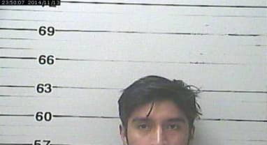 Calihua Froilan - Harrison County, Mississippi 