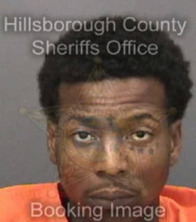 Johnson Marvin - Hillsborough County, Florida 