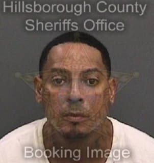 Rodriguez Ismael - Hillsborough County, Florida 