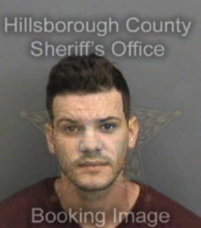 Lopezcespedes Jorge - Hillsborough County, Florida 