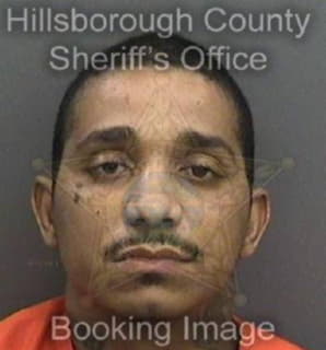 Lopez Jose - Hillsborough County, Florida 