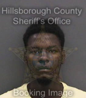 Jeanfrancois Lenson - Hillsborough County, Florida 