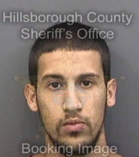 Ruiz Steven - Hillsborough County, Florida 