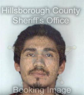 Romero Victor - Hillsborough County, Florida 