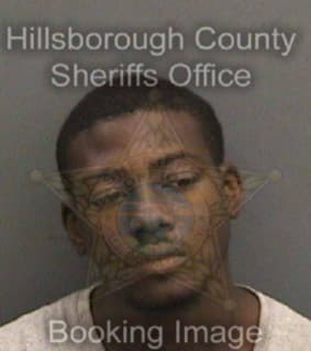 Wilson Daniel - Hillsborough County, Florida 