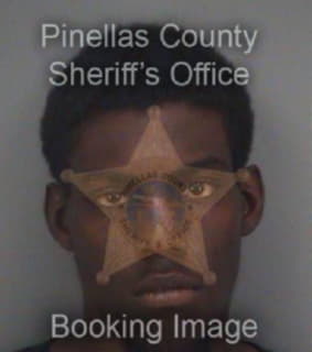 Ramsey Deontavius - Pinellas County, Florida 