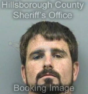 Diaz George - Hillsborough County, Florida 