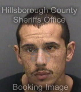 Matthews Terrel - Hillsborough County, Florida 